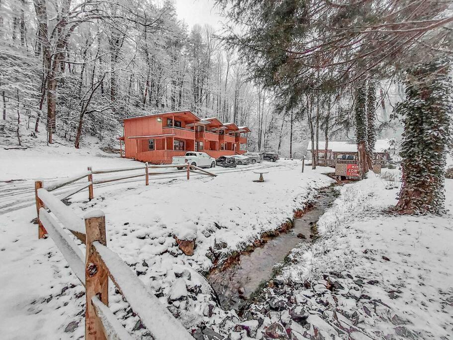 Mountain Cabin In Woods 3 Minutes To Helen #13 外观 照片